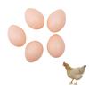 Plastic Fake Dummy Egg 5pcs Hen Poultry Chicken Layer Coop Hatching Simulation