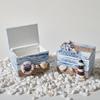 Density Board Seashells Wooden Box Ocean Style Jewelry Storage Box Beach Box Ornaments  Photo Props