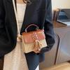 Beach Straw Crossbody Bag For Women 2024 New Designer Boho Summer Bag Pu Leather Handbag And Purse Travel Cross Body Phone Bag