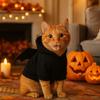 Creative Casual Halloween Pet Clothes Fashion Warm Dog Bat Hoodie Soft with Wings Dog Sweater Festival Party
