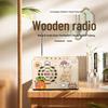 DIY Radio Kit: Wooden Science Experiment Toy for Kids