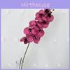 Phalaenopsis Aphrodite Rch Artificial Flower For Wedding Decor And Home Arrangement