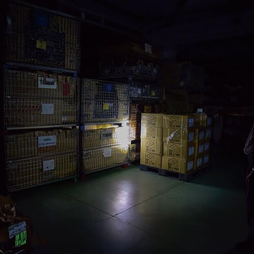 Nichido Ind LED Flashlight SL-20F-CH