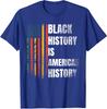 Black History Month African American Flag Black Pride Unisex T-shirt