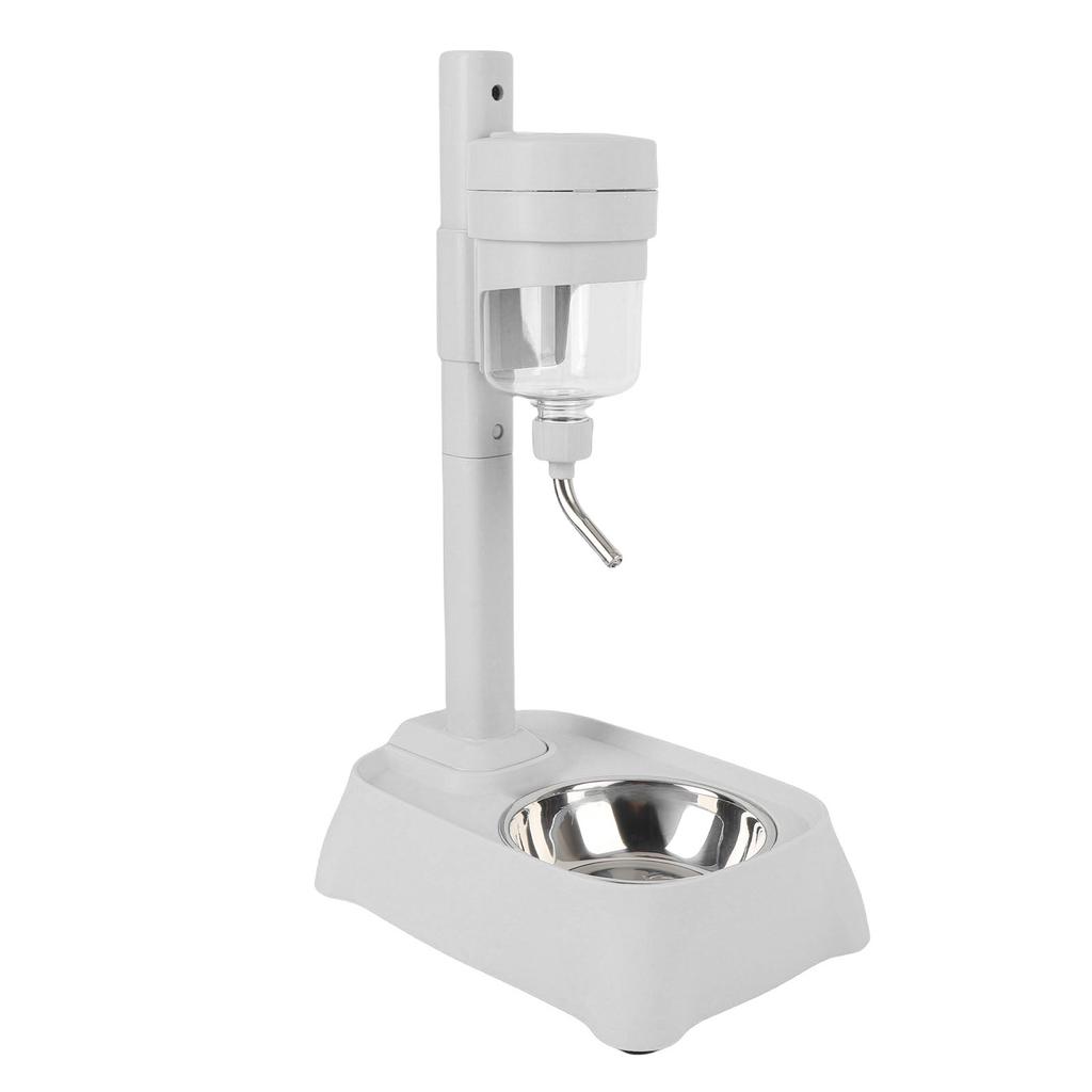 Stående vattendispenser för husdjur med skål i rostfritt stål, hög höjd, katt, hund, vattenmatare, automatisk vattendispenser för husdjur, 500 ml