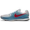 Air Zoom Pegasus 34 'Vast Grey' 880555-016