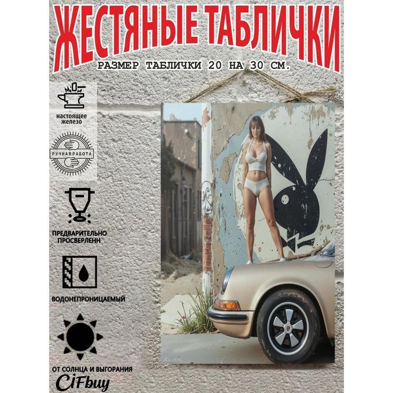Retro Vintage Metal Sign Pin Up Girl Car Decor Wall Art
