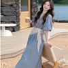 Pure White Moonlight Sweet Wind Blue Plaid Dress Female Summer Japanese Simple College Style Small Fairy Dress