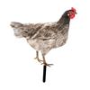 Henne Rasenornament Skulptur Veranda Huhn Gartenskulptur Hahn Hofpfahl für Weg Flur Weihnachtsbeet Thanksgiving