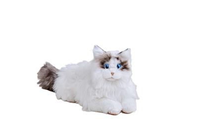 SEGA FAVORIT KIMIT Ragdoll (Brun) Kæledyrsrobotkat