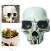 Versatile Storage Skull Candy Dish Decorative Bowl Multipurpose Design Resin Material Seasonal Centerpiece 12*10*9cm