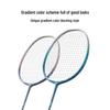 Jingdong F100 Carbon Fiber Badminton Racket Pair