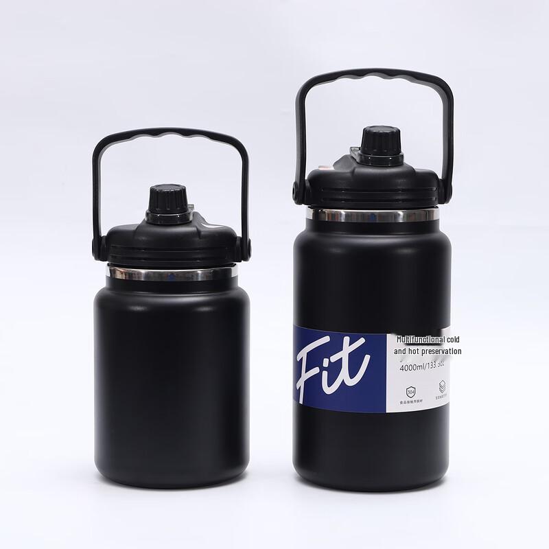 DuoLi 304 Stainless Steel Insulated Sports Water Bottle with Handle & Straw