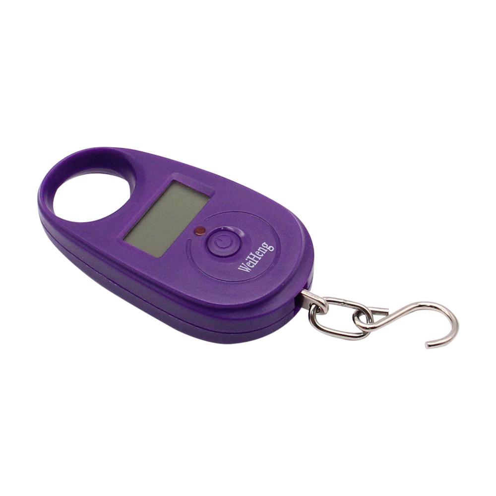 25kg x 5g Portable Hanging Scale Mini Digital Scale for Fishing Luggage Travel Weighting Keychain Electronic Scale with Hook