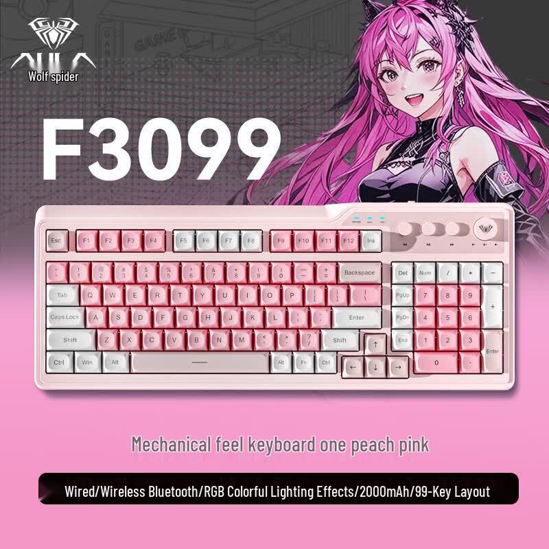 AULA F3099 99-Key Triple Mode RGB