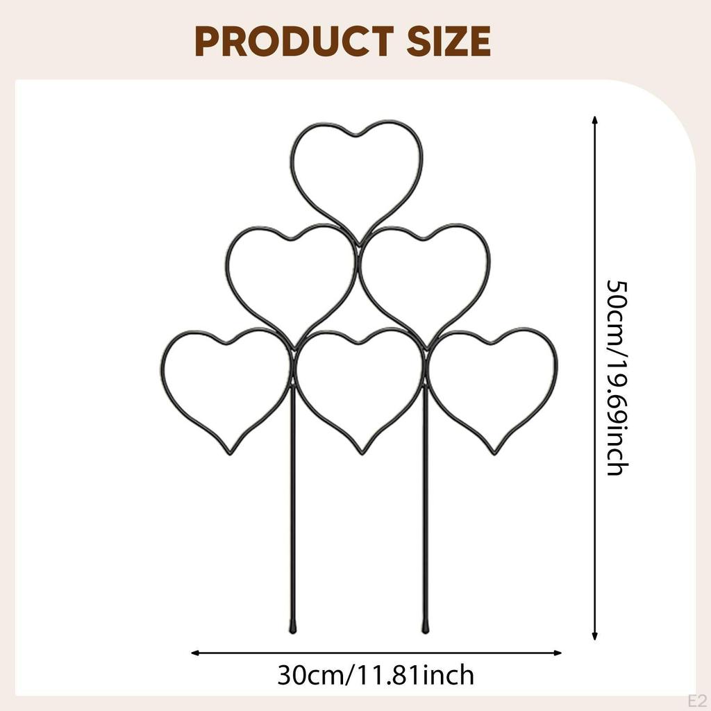 2 Pack Climbing Plant Trellis, Garden Support, for Hoya Flowers