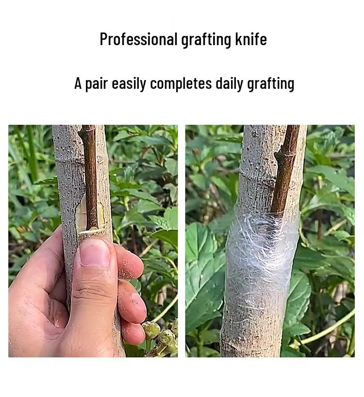 Baolian Multifunctional Grafting Knife for Tree Cuttings and Seedlings with Budding Scissors