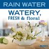 Biodegradable Laundry Detergent Liquid Rain Water Scent HE Compatible 64 Loads Plant Derived Cruelty Free Odor Eliminating Clean