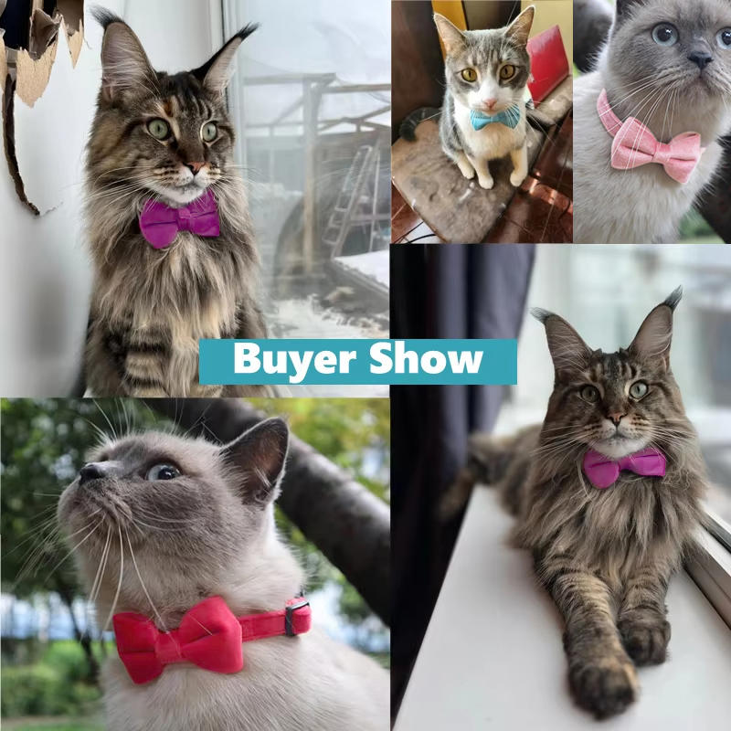 1PC Cute Pet Suede Bow Tie Collar with Bell Breakaway Adjustable Solid Color Safety Collar for Kitten Puppy