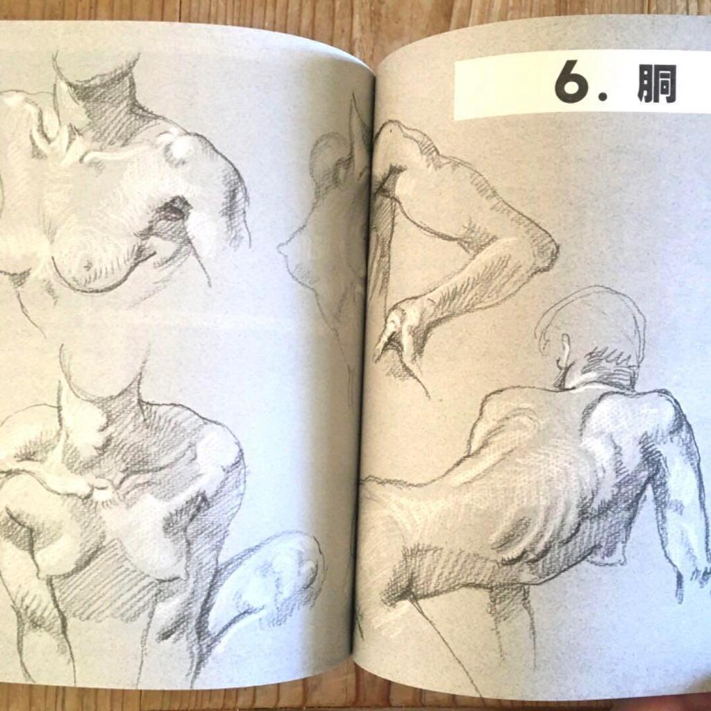 [GEBRAUCHT] Aktzeichnen 430 Schnitte Struktur Grundlegendes Skelett-Diagramm Erklärung Illustration Akt