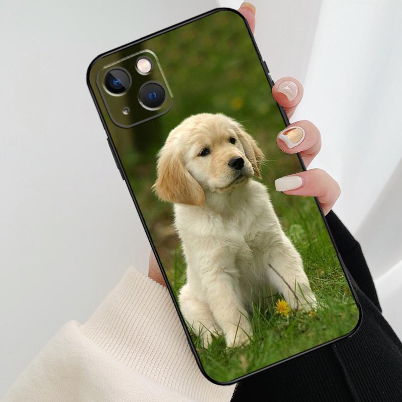 Golden Retriever Hund Handyhülle Für iPhone 11 12 13 14 15 16 Pro XS Max Mini Hülle Für iPhone X XR Plus Rückseite Hülle