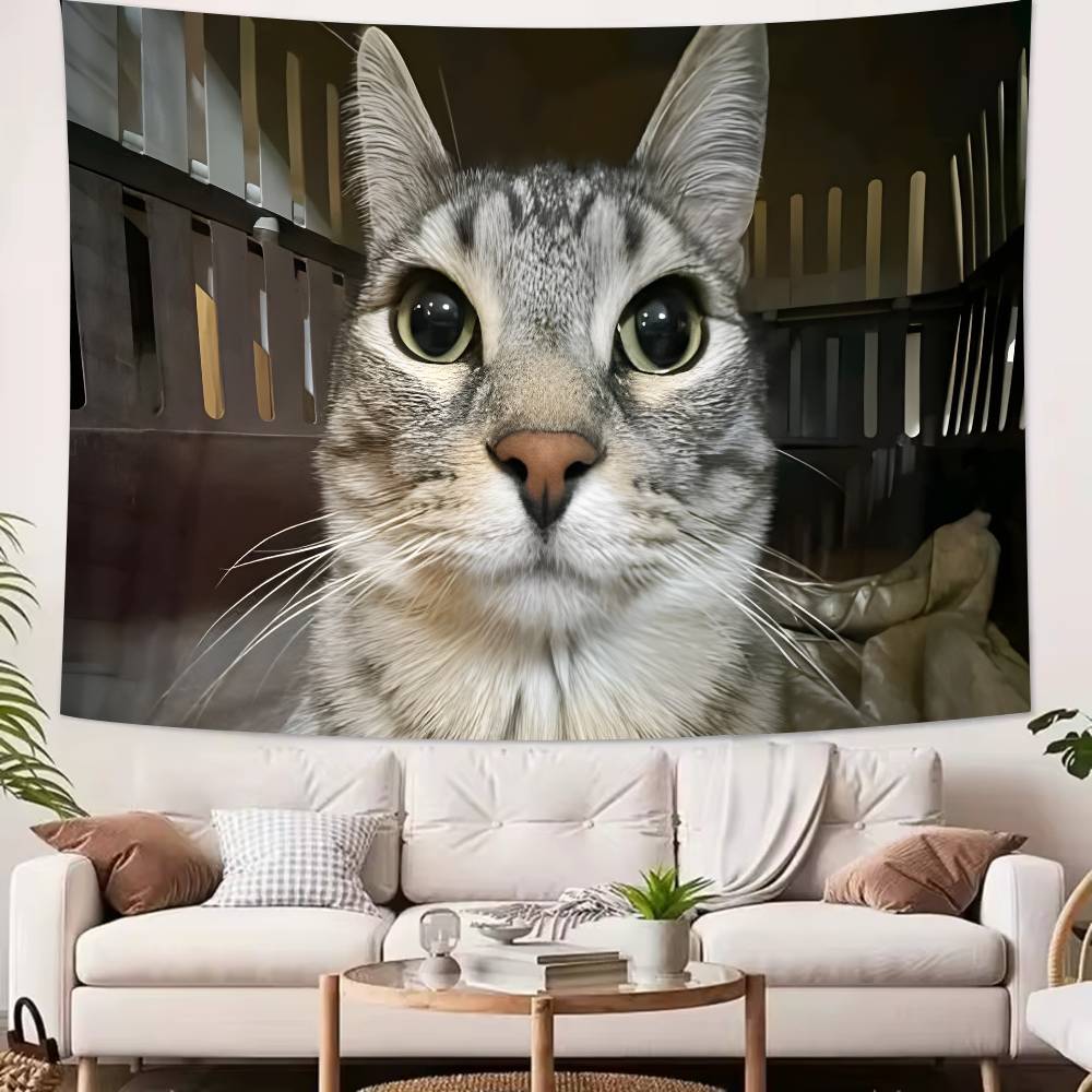 Large Fashion Cute Fuuny Popular Cat Meme Tapestry Wall Hanging Wall Rugs Dorm Decor Blanket Camping Decoration Tapestry
