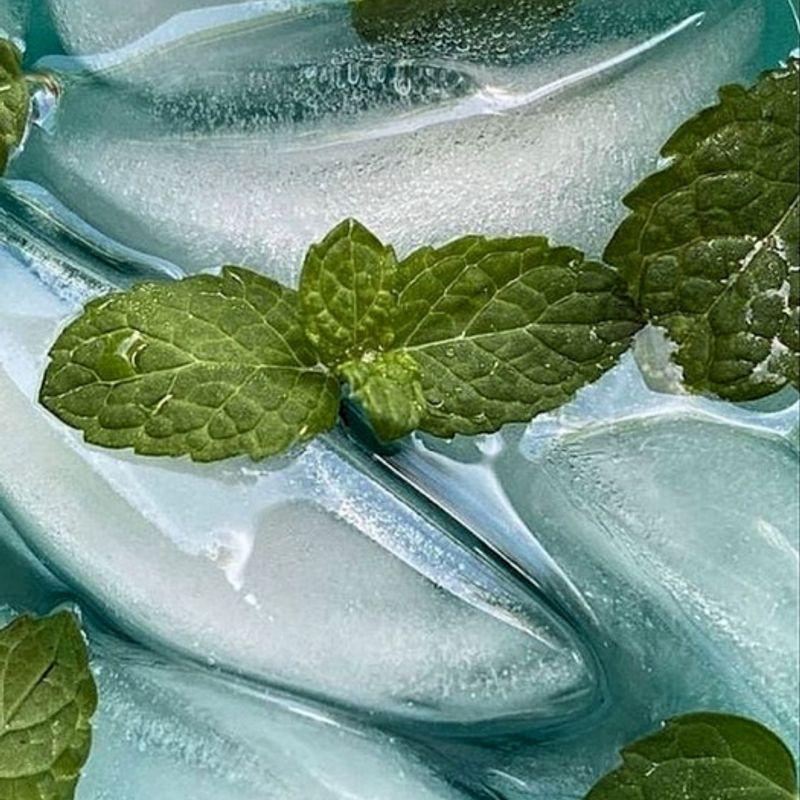 Nesh Mint Biome Scalp Deep Cleansing Shampoo 250ml (2 Types)