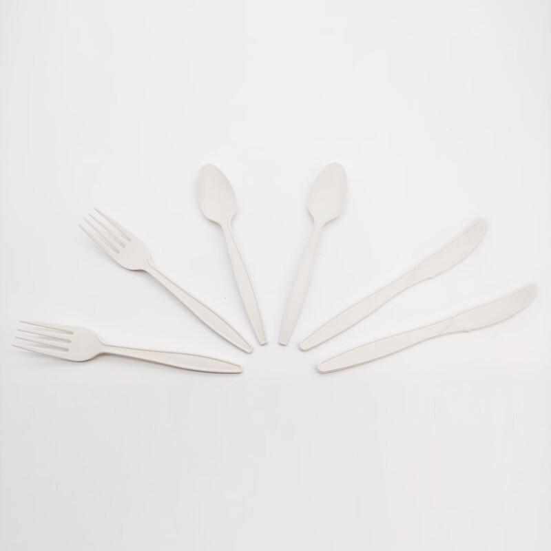 Eco-Friendly 8-inch Biodegradable Disposable Forks (1000-Count)
