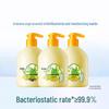 Liu Shen Wormwood Antibacterial Hand Wash