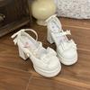 Scarpe Donna Carine alla Moda 2026 Autunno Nuove Scarpe da Donna con Fiocco Tacco Spesso Tacchi Alti Semplici Versatili Scarpe Mary Jane da Donna Zapatos