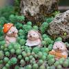 Décoration de la maison – Terrariums décoratifs