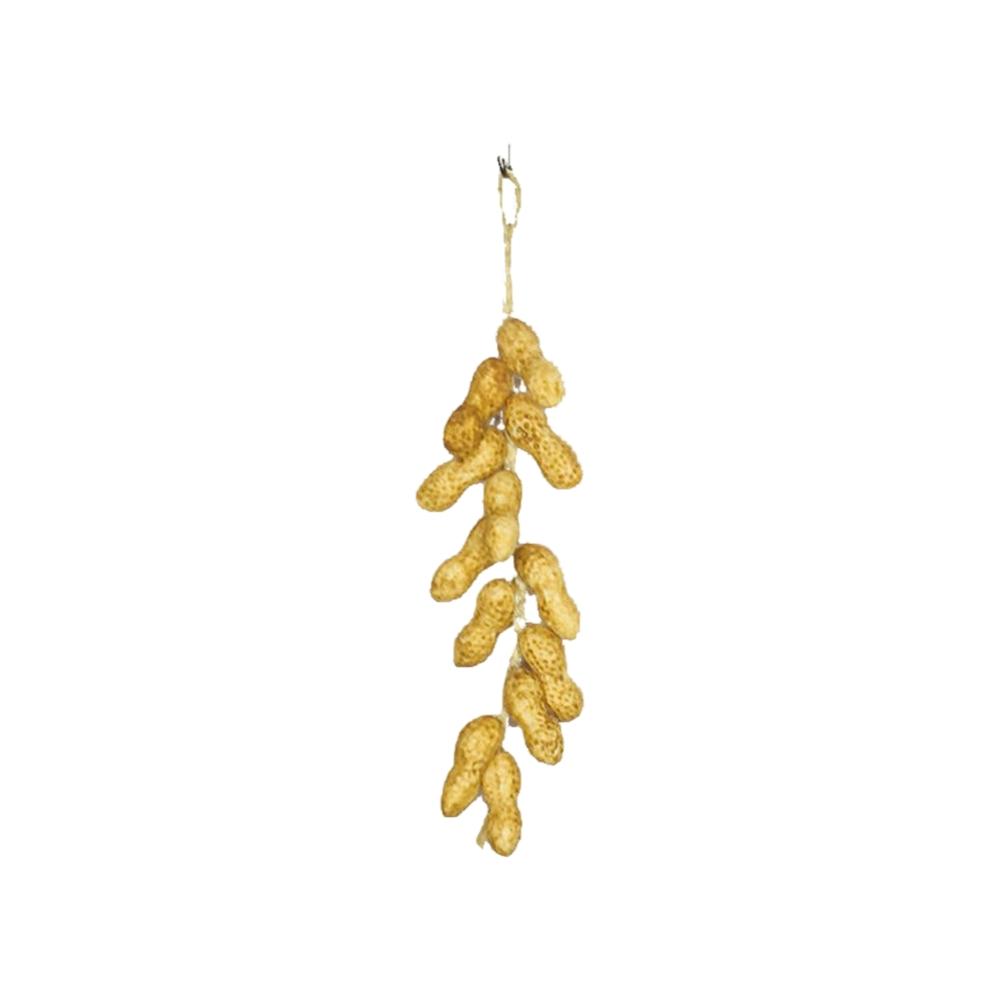Decorative Simulation Vegetable Models Hanging String Decoration Featuring Chili Pepper Garlic and Peanut for Home Ambiance