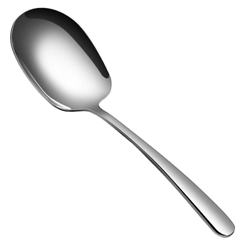 304 Stainless Steel Extended Handle Serving Spoon