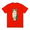 2026 Funny Cat Owl Funny Meowl Meme Brainrot Graphic Tshirts Unisex Unisex Clothes Fashion Short Sleeves T Shirts Y2k Ins Summer