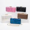 Neue Acryl-Muschelform-Schultertasche für Damen Modische Ketten-Umhänge-Abend-Clutch-Tasche