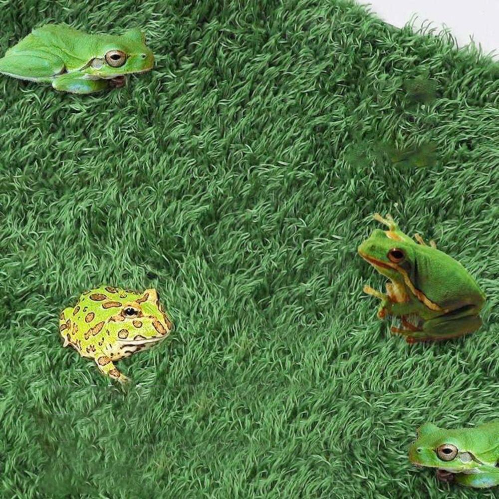 Simulation Frog Tortoise Mat Green Artificial Grass Mat Reptile Carpet  Reptile Box Decorate