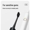 Bayer X6 Sonic Electric Toothbrush for Adults CN Plug (adapter Included)