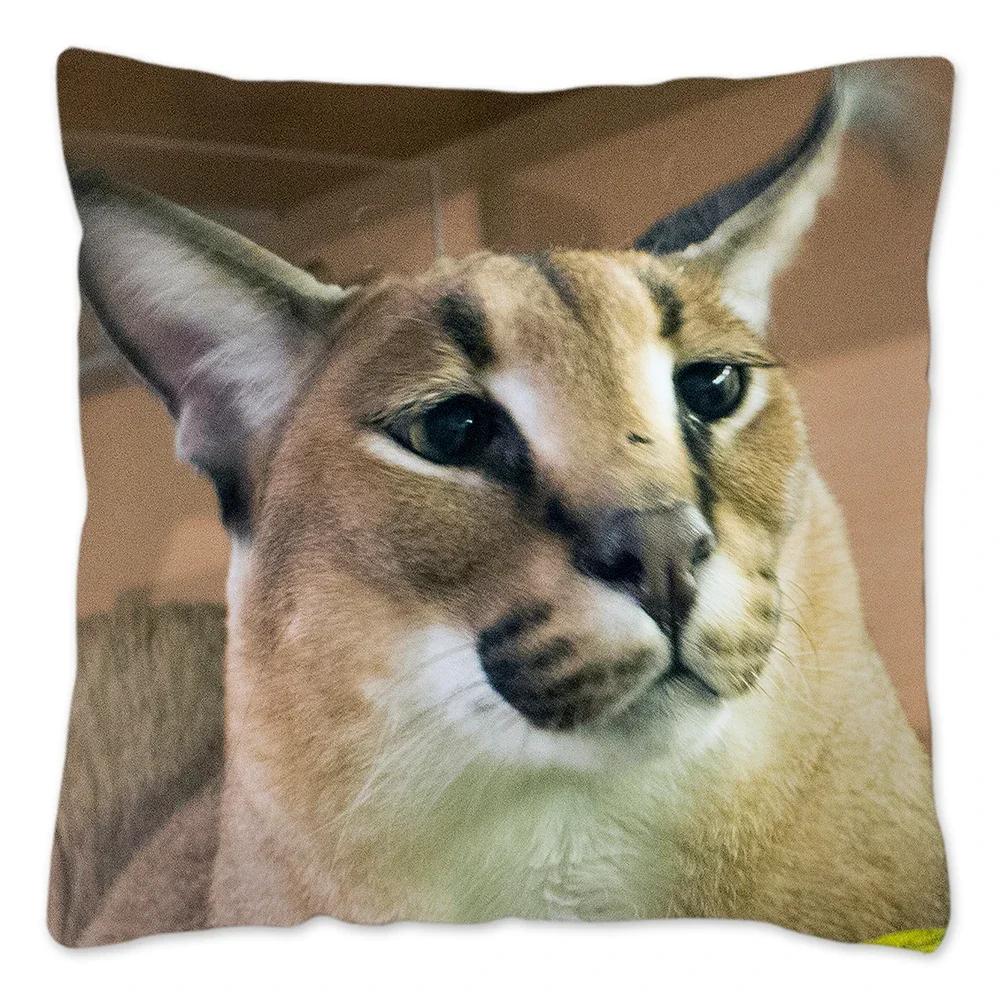 Capa de Almofada Meme Fofo Floppa 40x40 Decoração de Casa Dakimakura Engraçada Gato Caracal Capa de Almofada para Sala de Estar Housse De Coussin