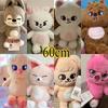 60cm Skzoo Pluche Teddybeer Grote Maat Kpop Stray Kids Pluche Pop Speelgoed Kawaii Cartoon Knuffeldier Sierkussen Kinderen Kerst