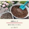 Sumitomo Chemical Gardening Fertilizer My Garden Vegeful 1.2kg Granular Vegetables Fruits Fruits