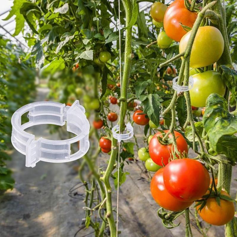 100/200/300Pcs Plant Support Clips Reusable Plant Binding Clip Tomato Trellis Clips for Vine Vegetables Grow Upright Healthier