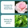 50ml Plant Regenerator  Flower Resurrection Solution  Growth Solution for Yellow Leaf Drop Light Stem Plants  Enhanced Activity  Growth Promotion