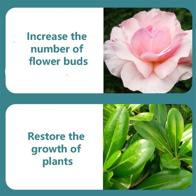 50ml Plant Regenerator  Flower Resurrection Solution  Growth Solution for Yellow Leaf Drop Light Stem Plants  Enhanced Activity  Growth Promotion