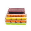 HORNED PANSY Disposable Take-Out & Dumpling Containers