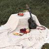 INS-Style French Camping Blanket