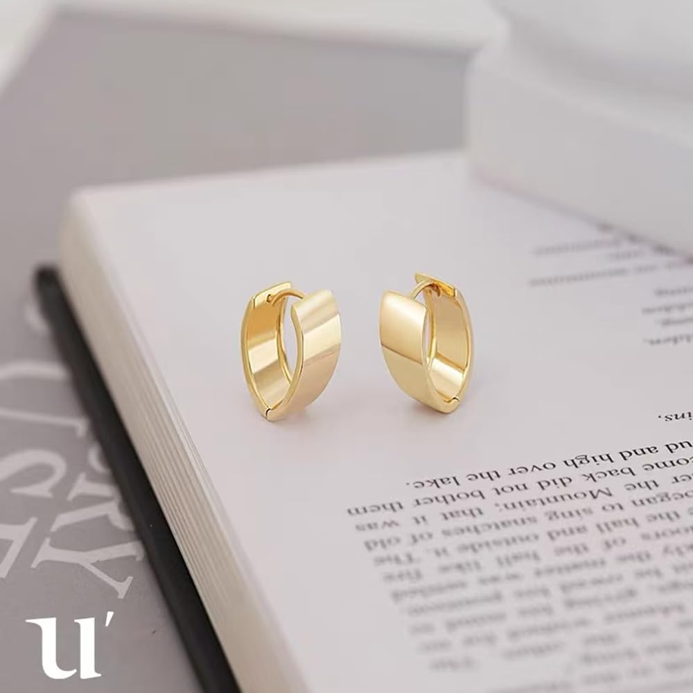 Hoop Always 18K Everyday 40s FH.bird Earrings, On, Gold, [Oval], Hypoallergenic, Women's, Earrings, Rings, Simple, Use, Commuting, Women, Birthdays,