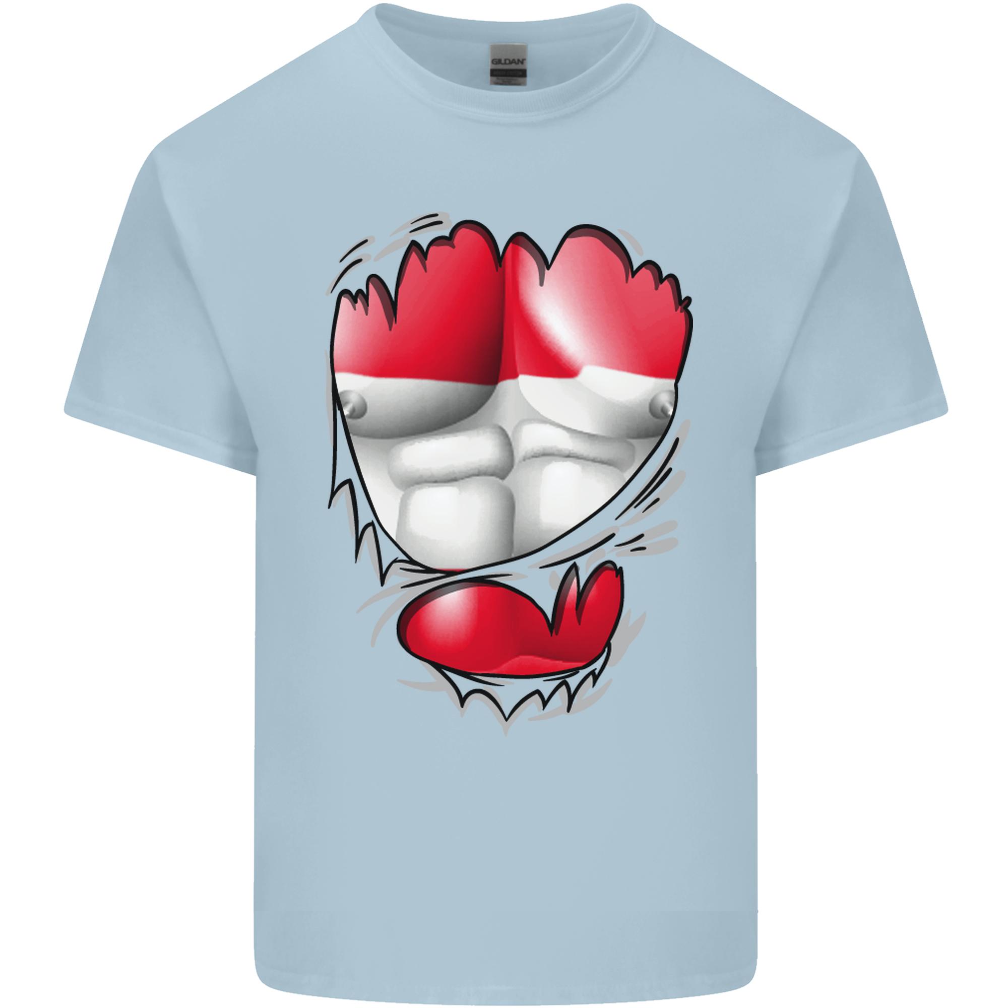 Gym The Austrian Flag Ripped Muscles Austia Unisexs Light Cotton TShirt S
