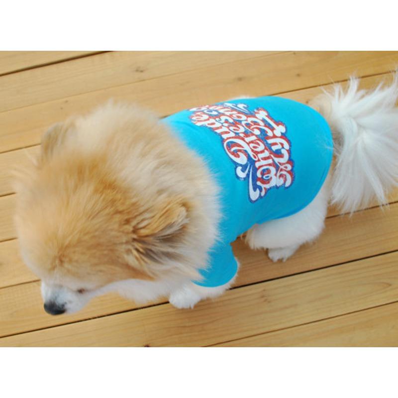 Candy Color Summer Thin T-shirt, Soft Fabric, Bright Color