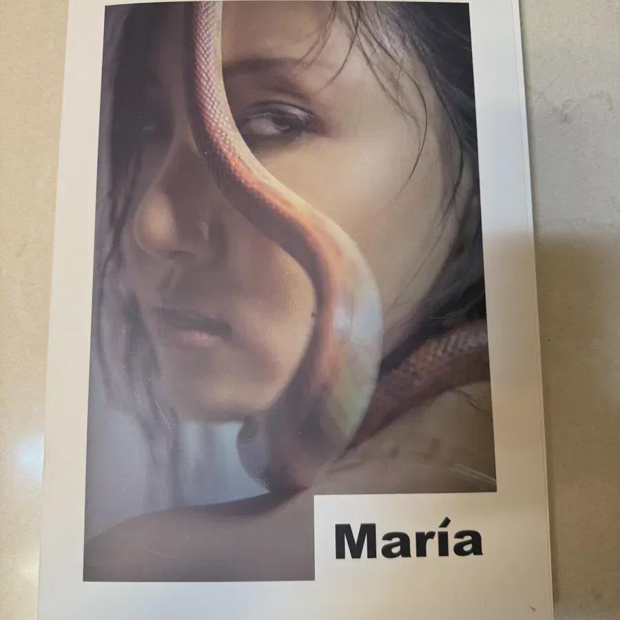 

Mamamoo Hwasa Solo Album Maria