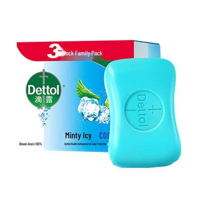 Mint Antibacterial Soap